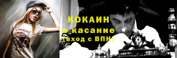 твердый Козловка