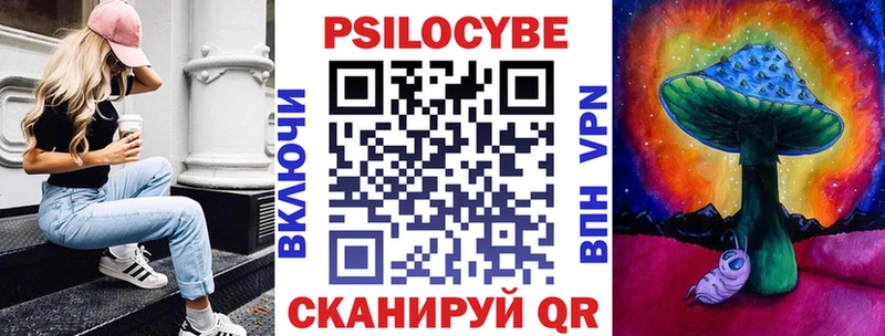 где найти   Людиново  Псилоцибиновые грибы MAGIC MUSHROOMS 