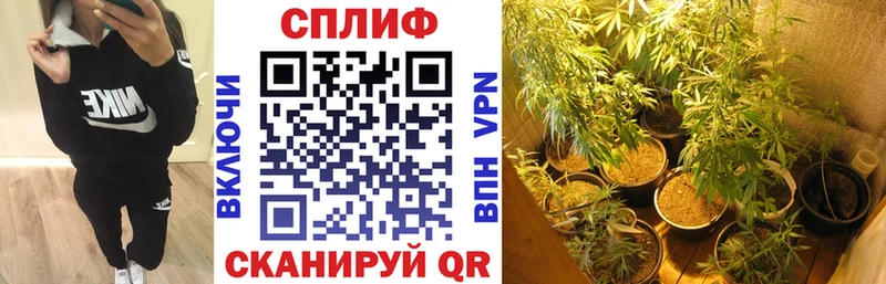 купить наркотики цена  Людиново  МАРИХУАНА конопля 